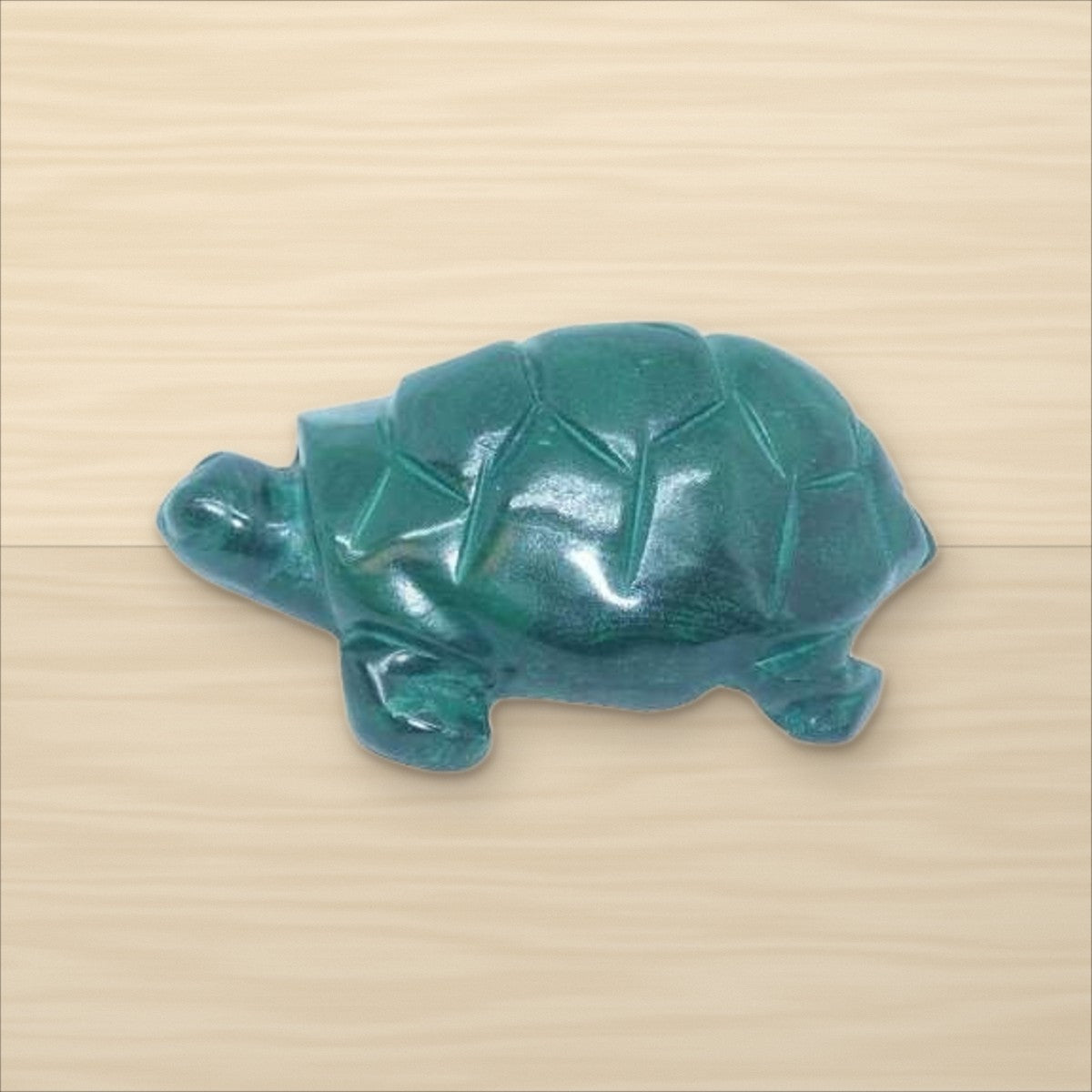 Tortue Malachite