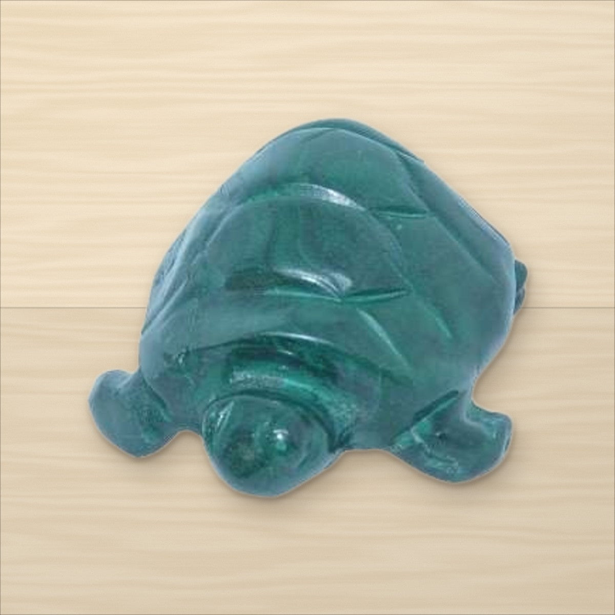 Tortue Malachite