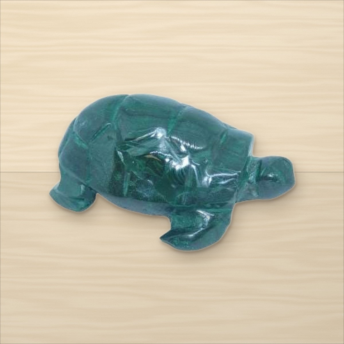 Tortue Malachite