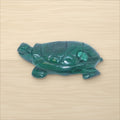 Tortue Malachite