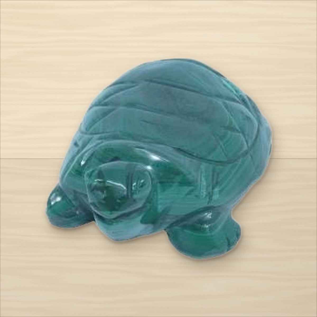 Tortue Malachite