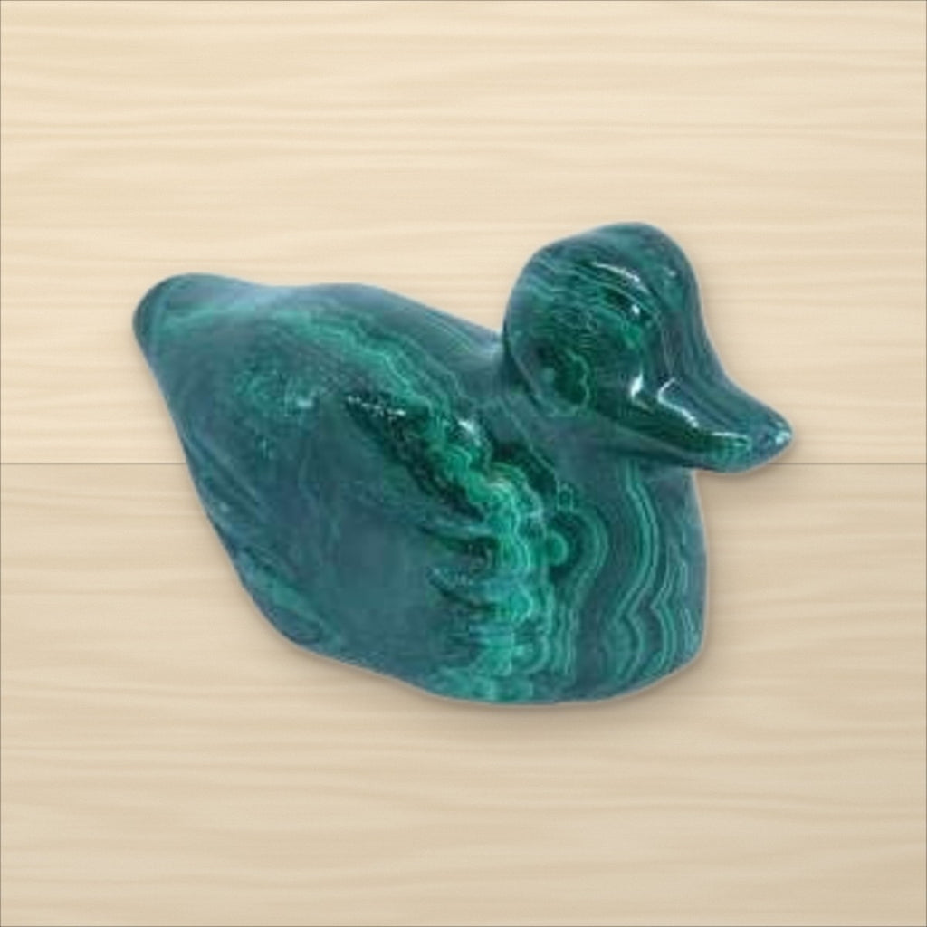 Canard Malachite