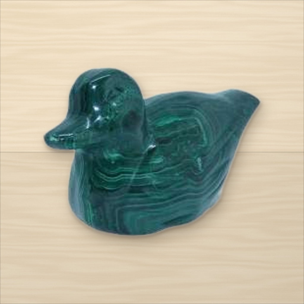 Canard Malachite