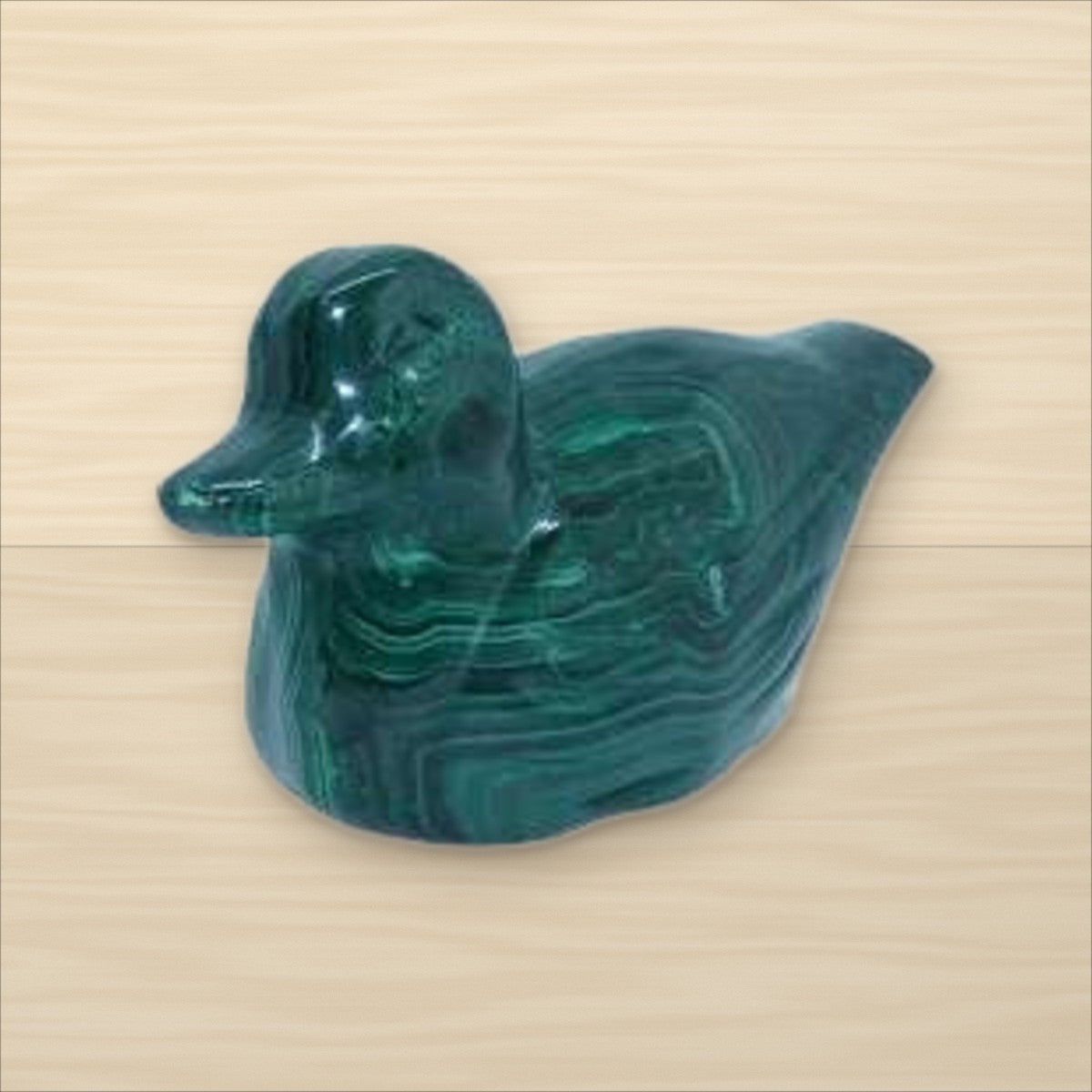 Canard Malachite
