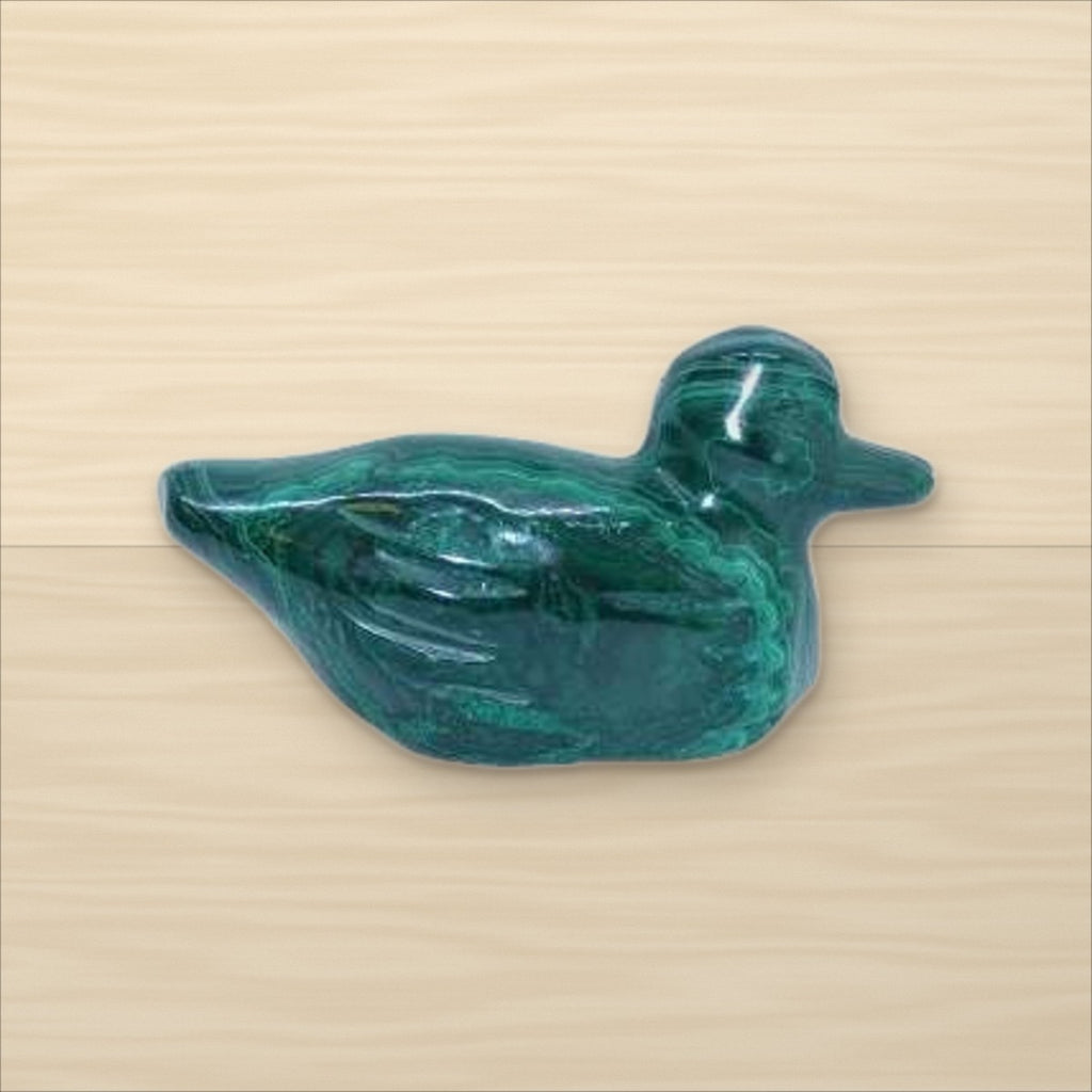 Canard Malachite