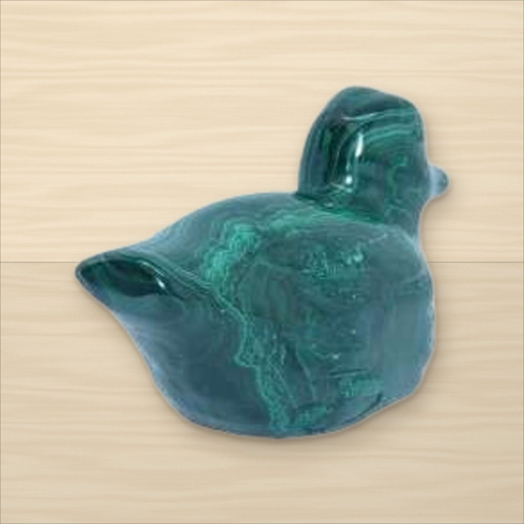 Canard Malachite