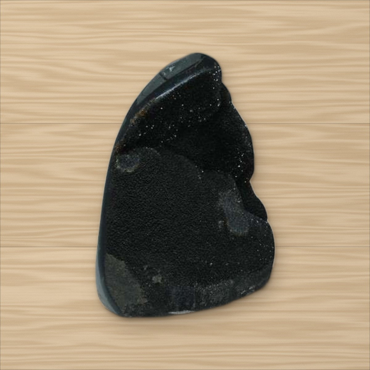 Septaria Sauvage (2)