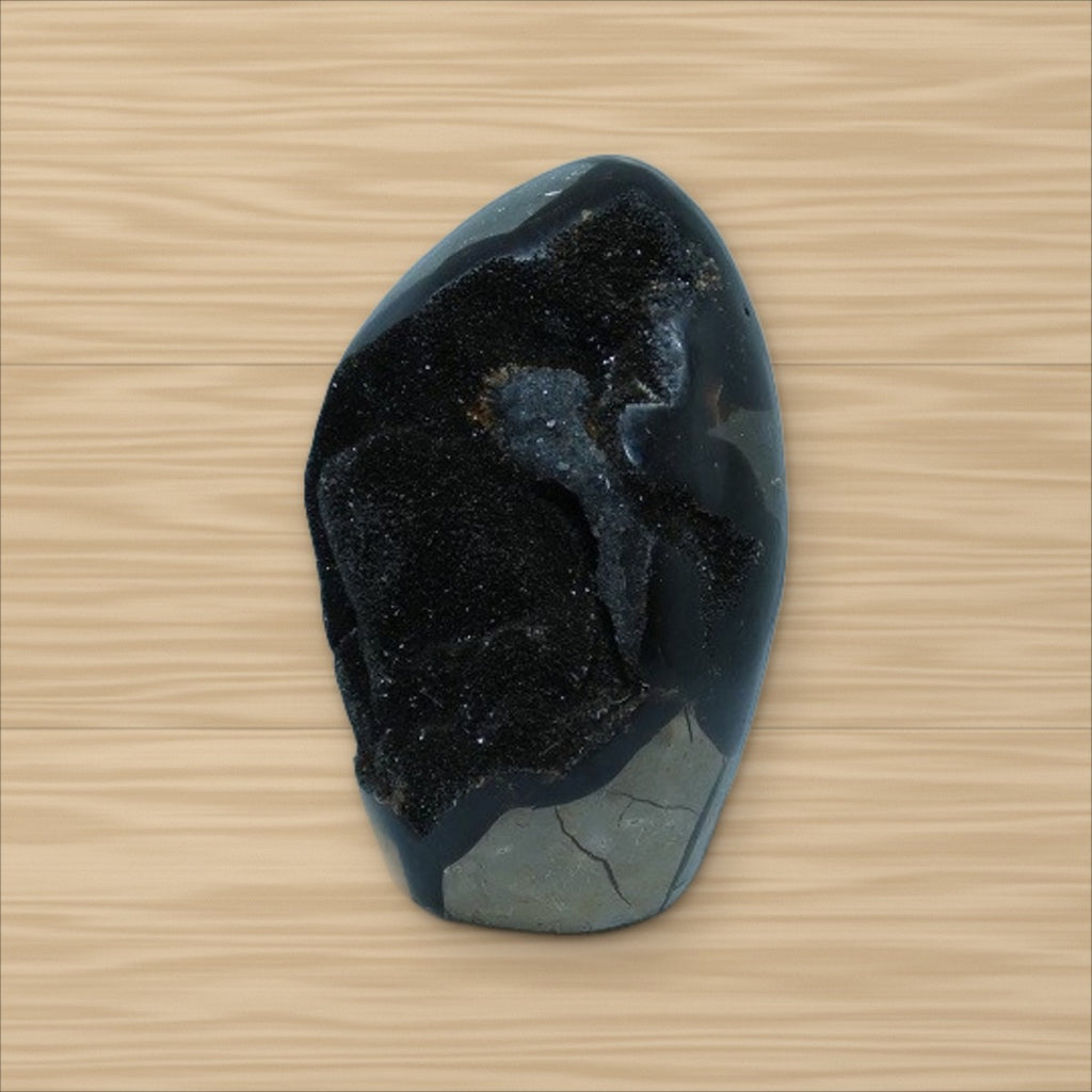 Septaria sauvage (4)