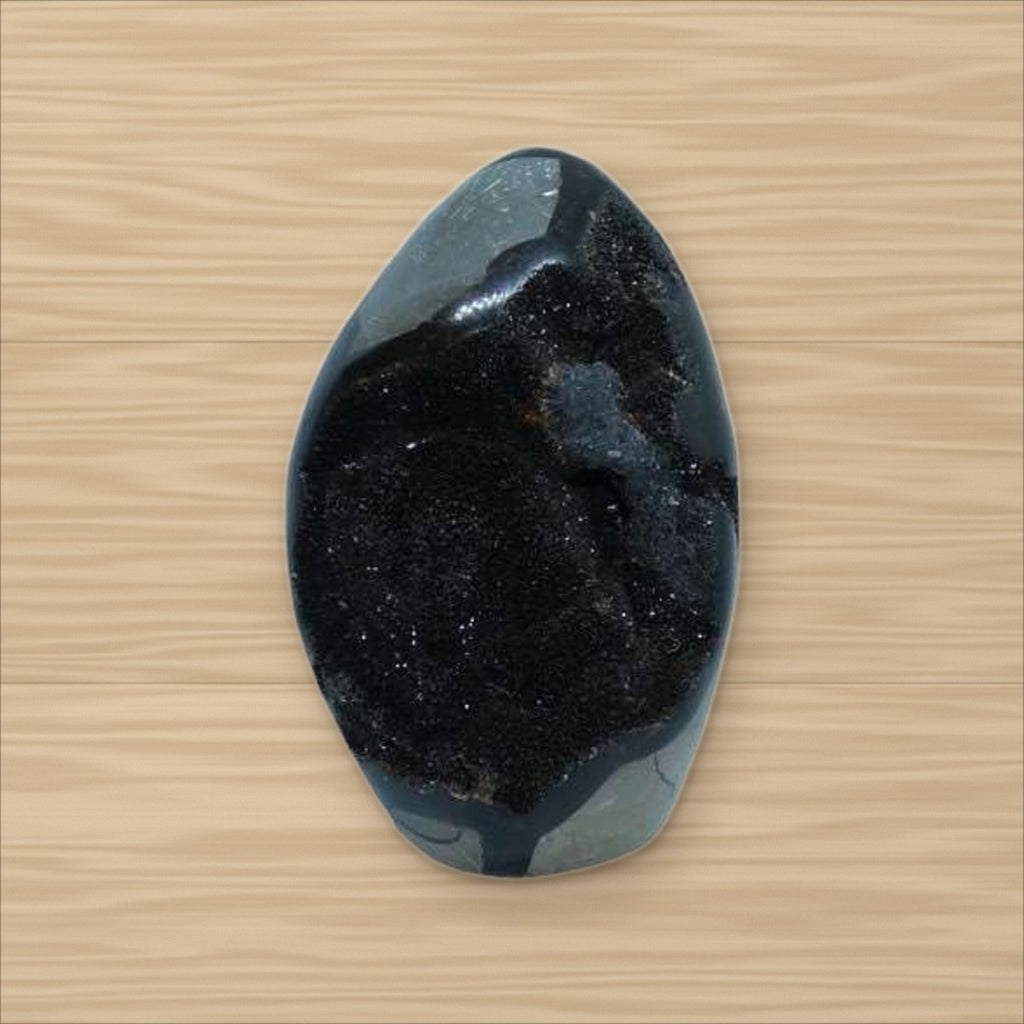 Septaria sauvage (4)
