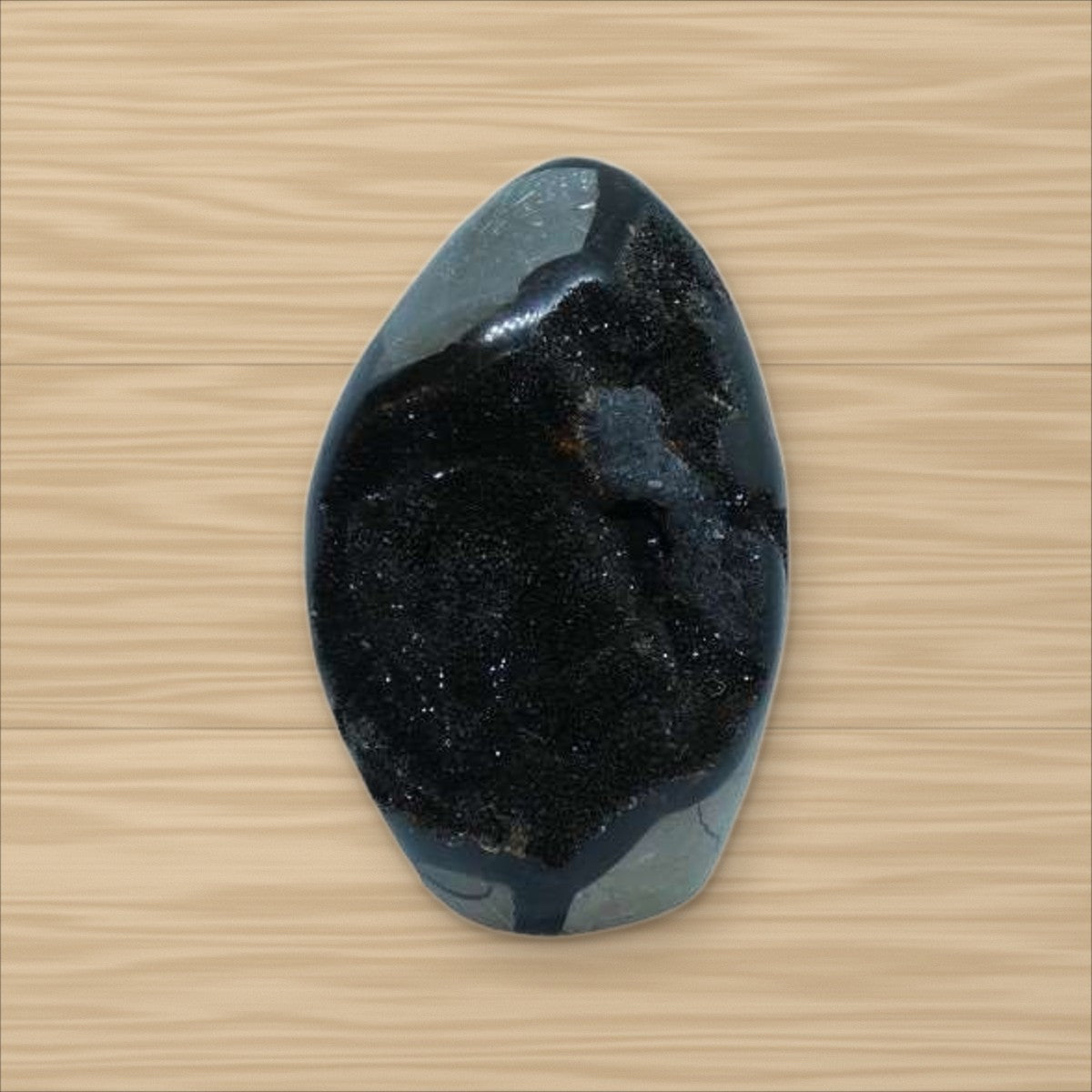 Septaria sauvage (4)