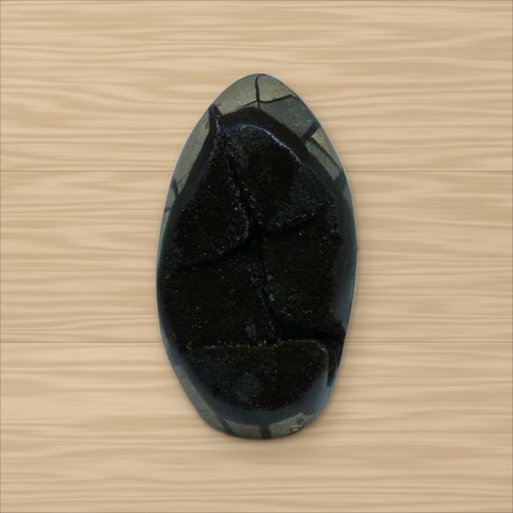 Septaria sauvage (5)