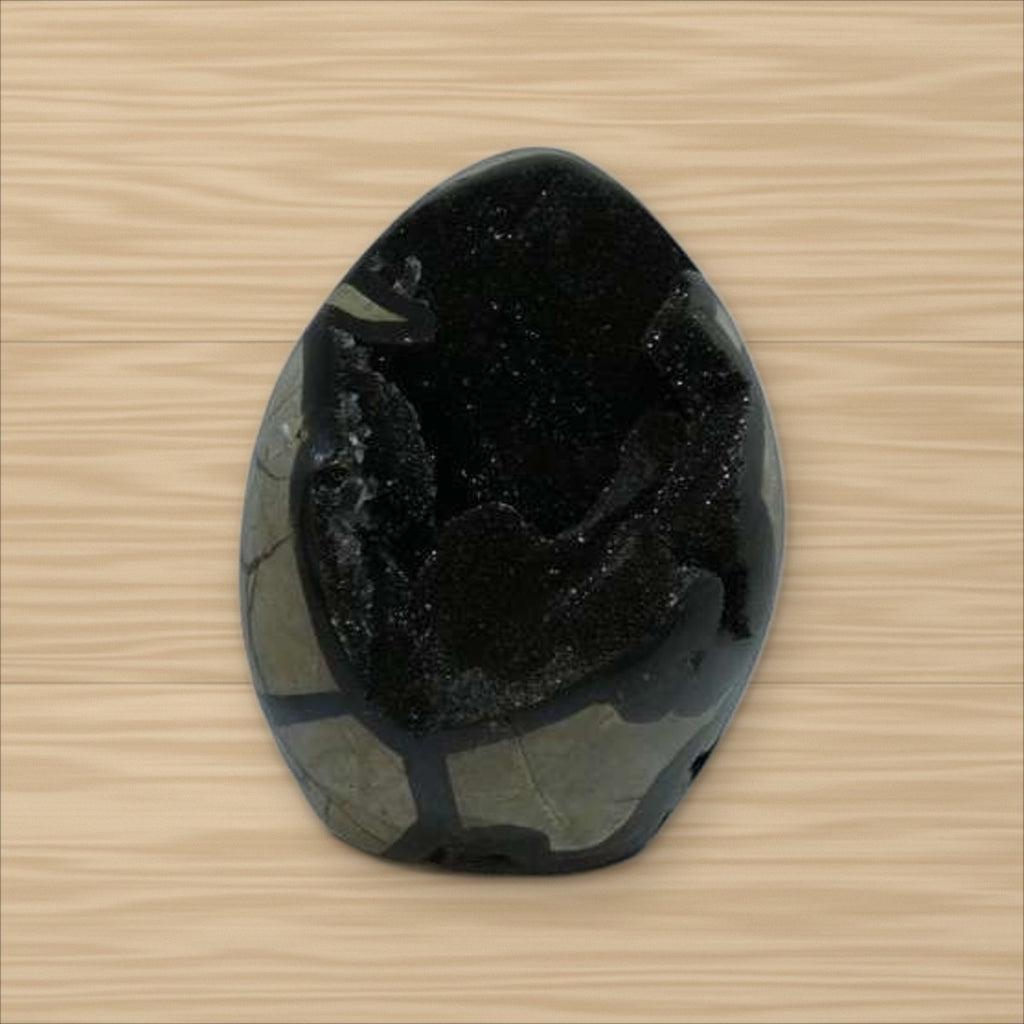 Septaria Sauvage (3)