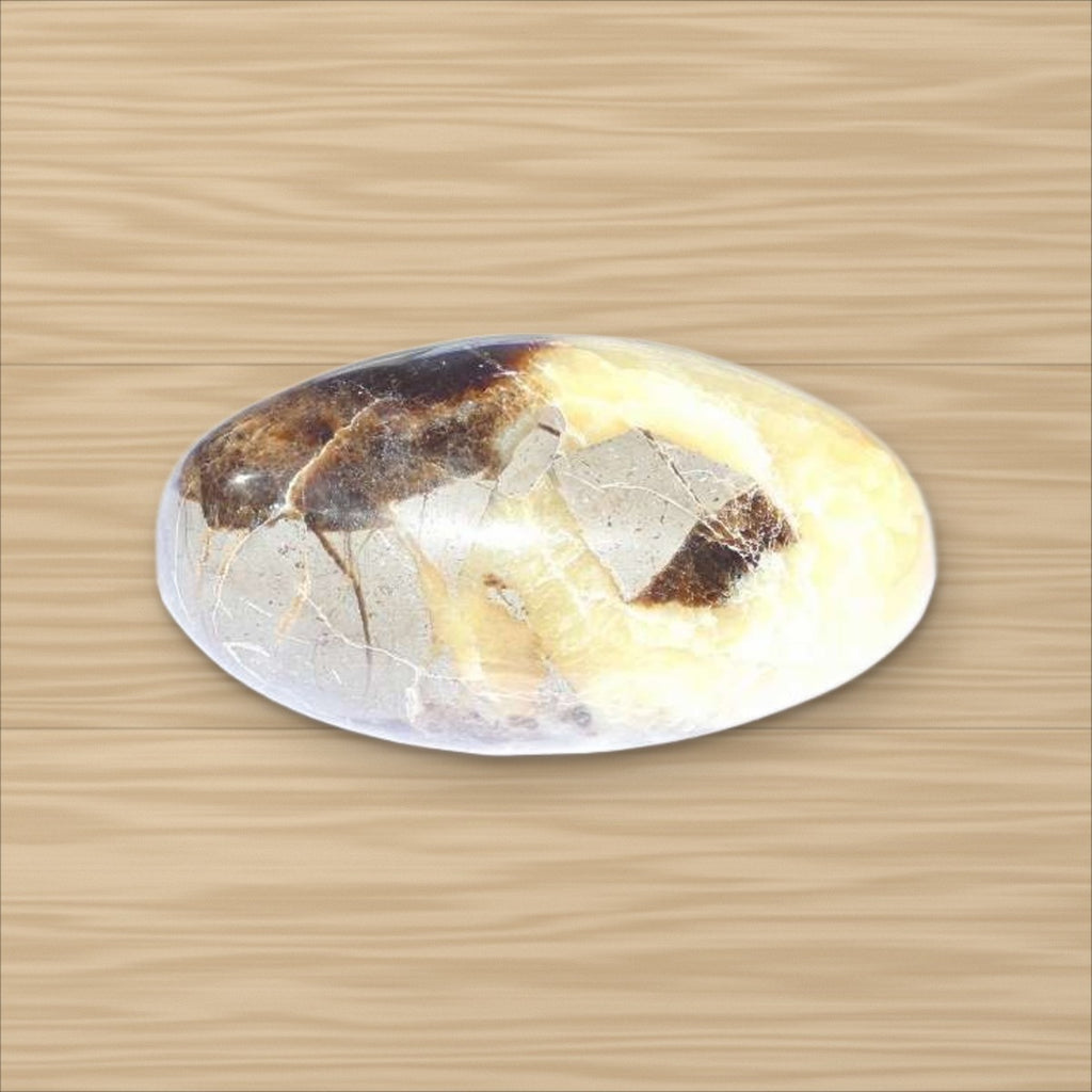 Septaria forme shiva